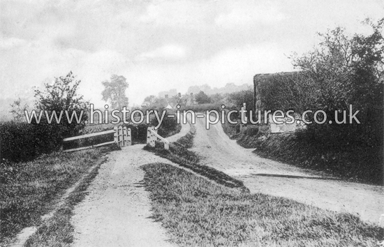 A view of the Village, Ashdon, Essex. c.1906